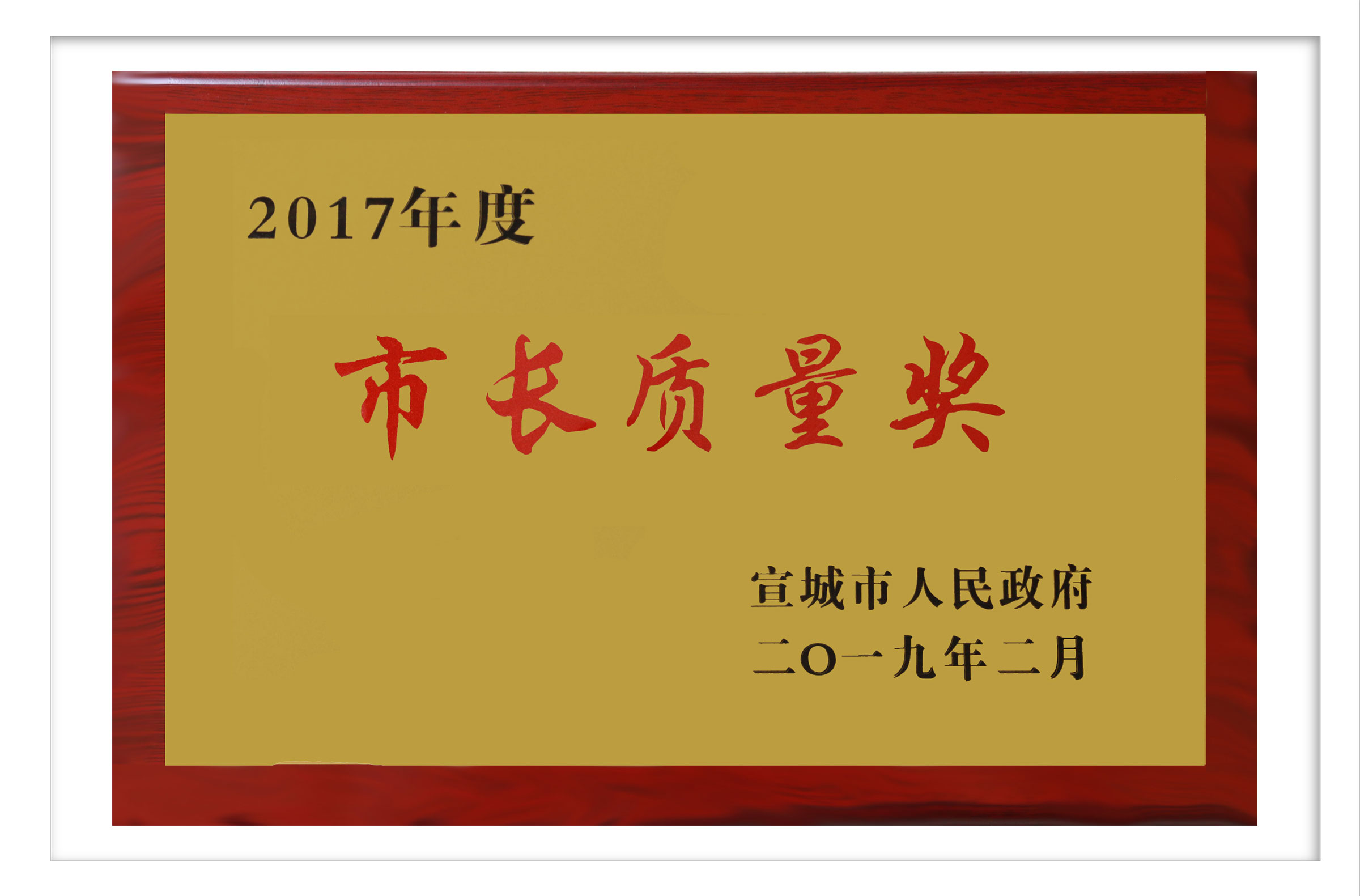 Mayor
