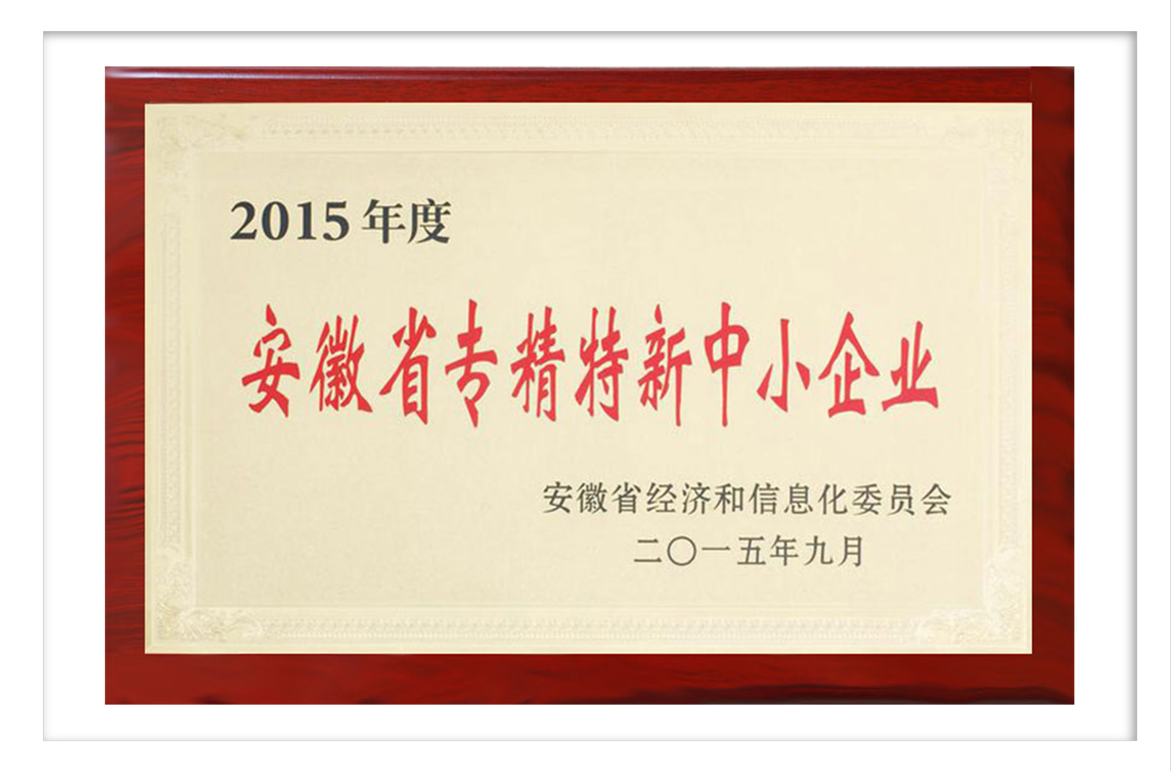 In 2015, it was specialized, special and new